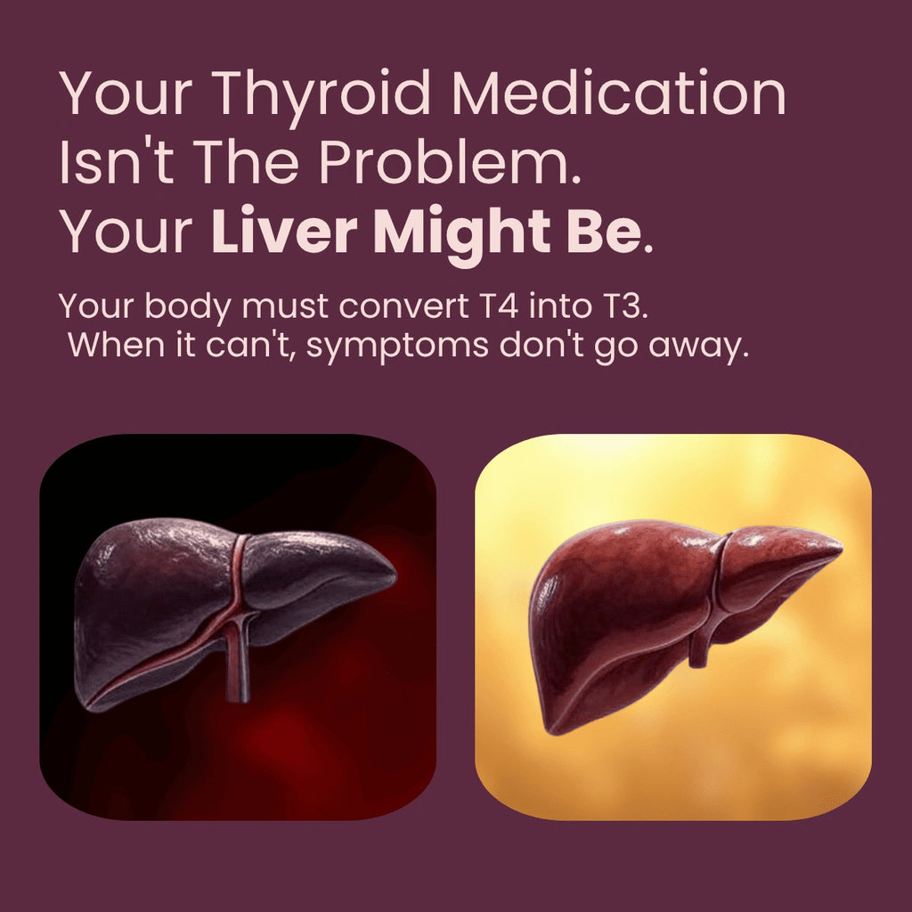 Lyveen™ - Thyroid Support