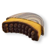 Spazzola Linfatica per il Viso